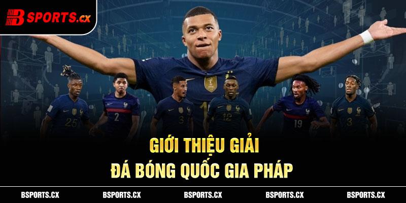 Giới thiệu giải đá bóng quốc gia Pháp